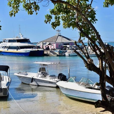 Conch Shell Harbour Island Home Dunmore Town Dış mekan fotoğraf