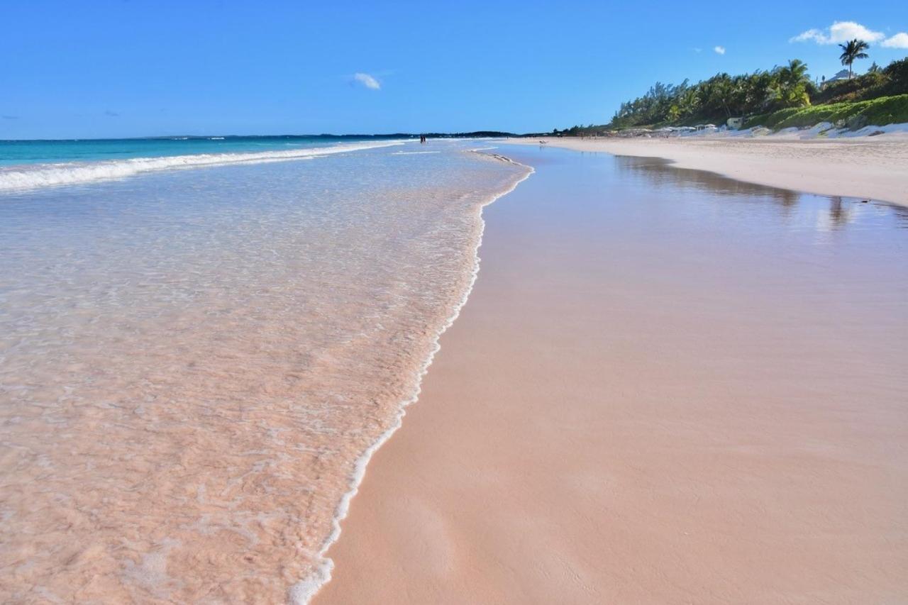 Conch Shell Harbour Island Home Dunmore Town Dış mekan fotoğraf